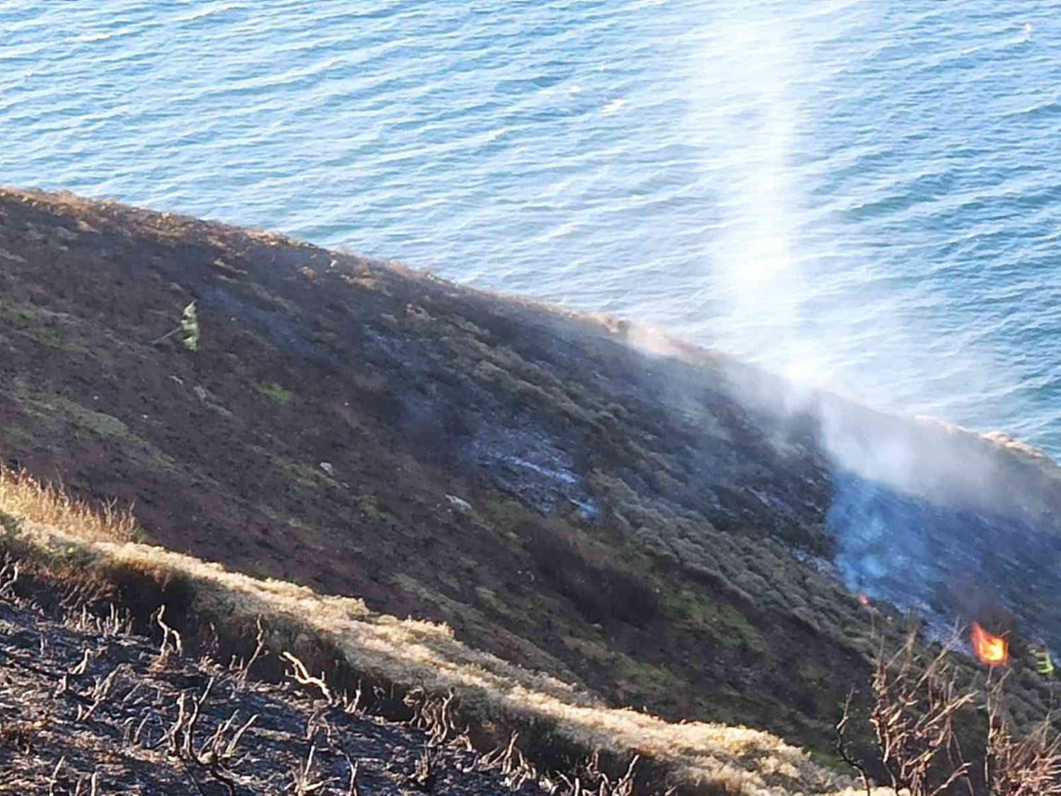 Band�rma'da �� bu�uk dekarl�k alan k�l oldu