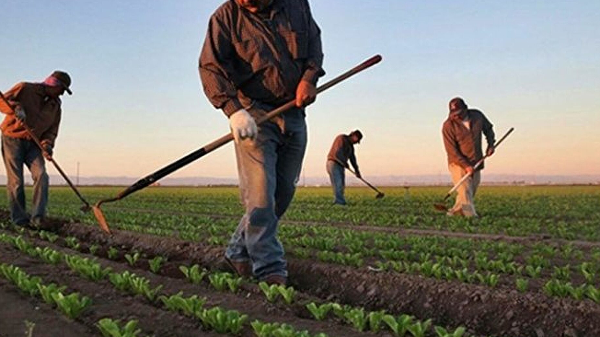 Devlet deste�i �ift�inin y�z�n� g�ld�rd�