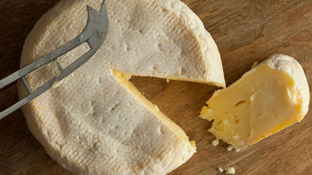 Fransa'da pizza ve ikolatadan sonra peynire de bakteri bulat