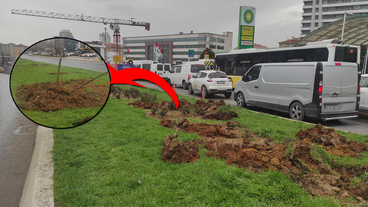 �BB'den yeni a�a� katliam�