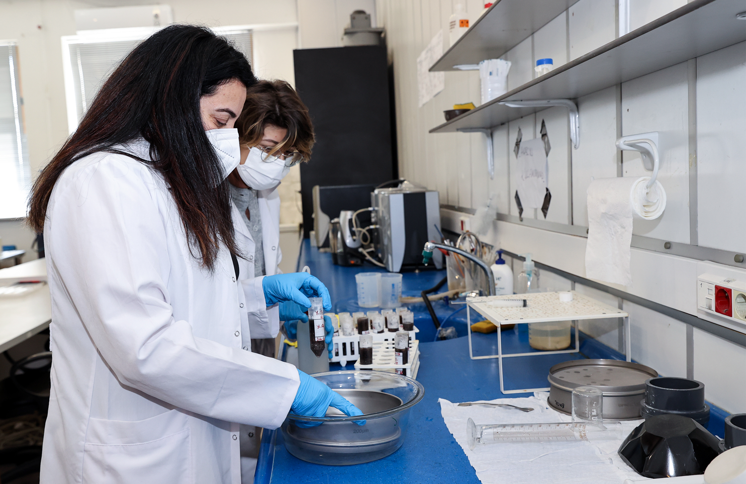 �klim de�i�ikli�iyle 100 y�l sonra Akdeniz bitki �rt�s�, Karadeniz'e g�� edebilir