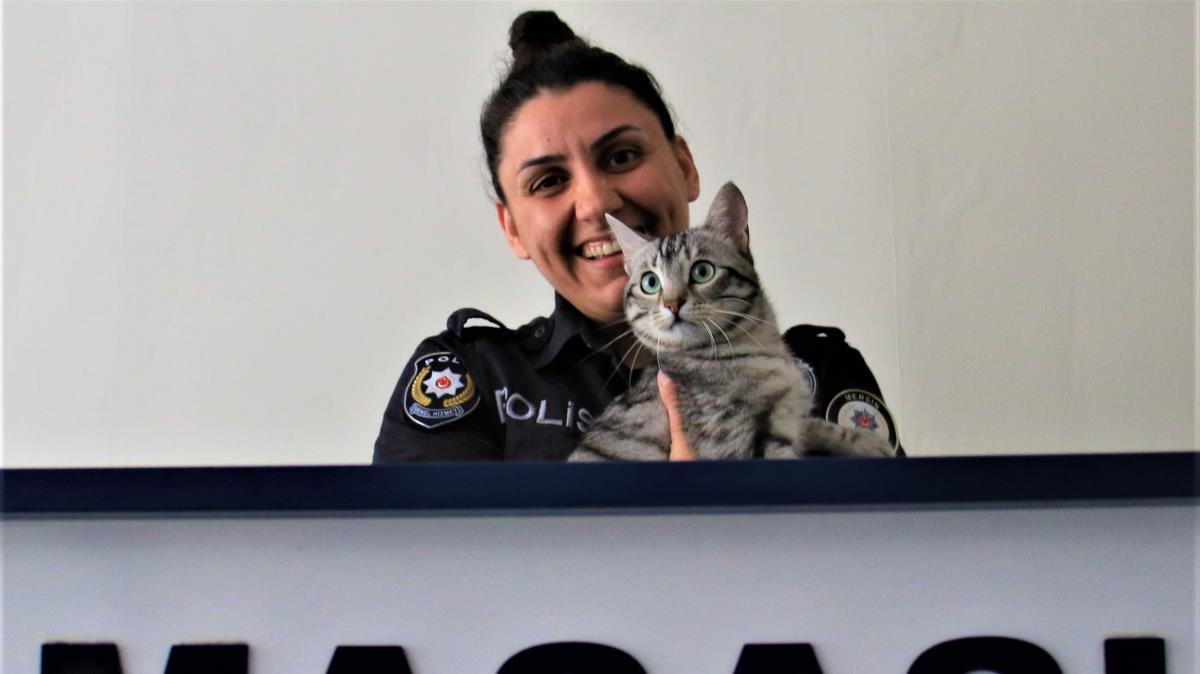 Yaral kediyi polisin efkati hayata balad