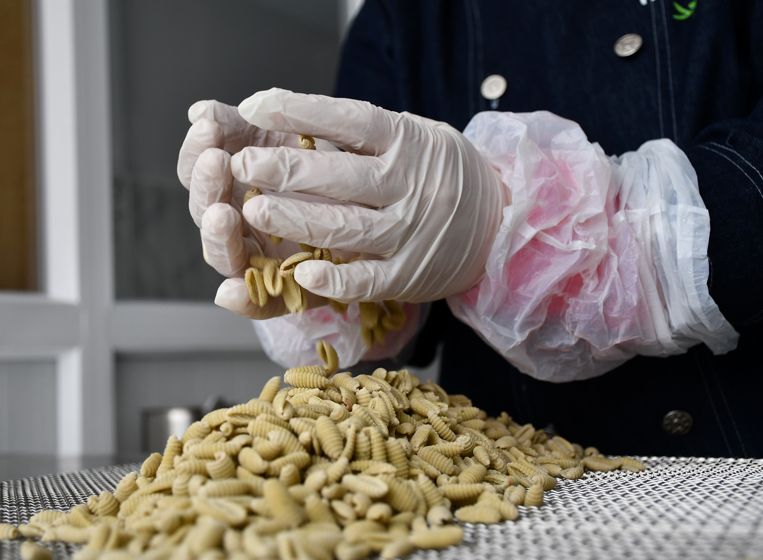 KOSGEB desteiyle iletme kuran giriimci kadn 8 eit talyan makarnas retiyor