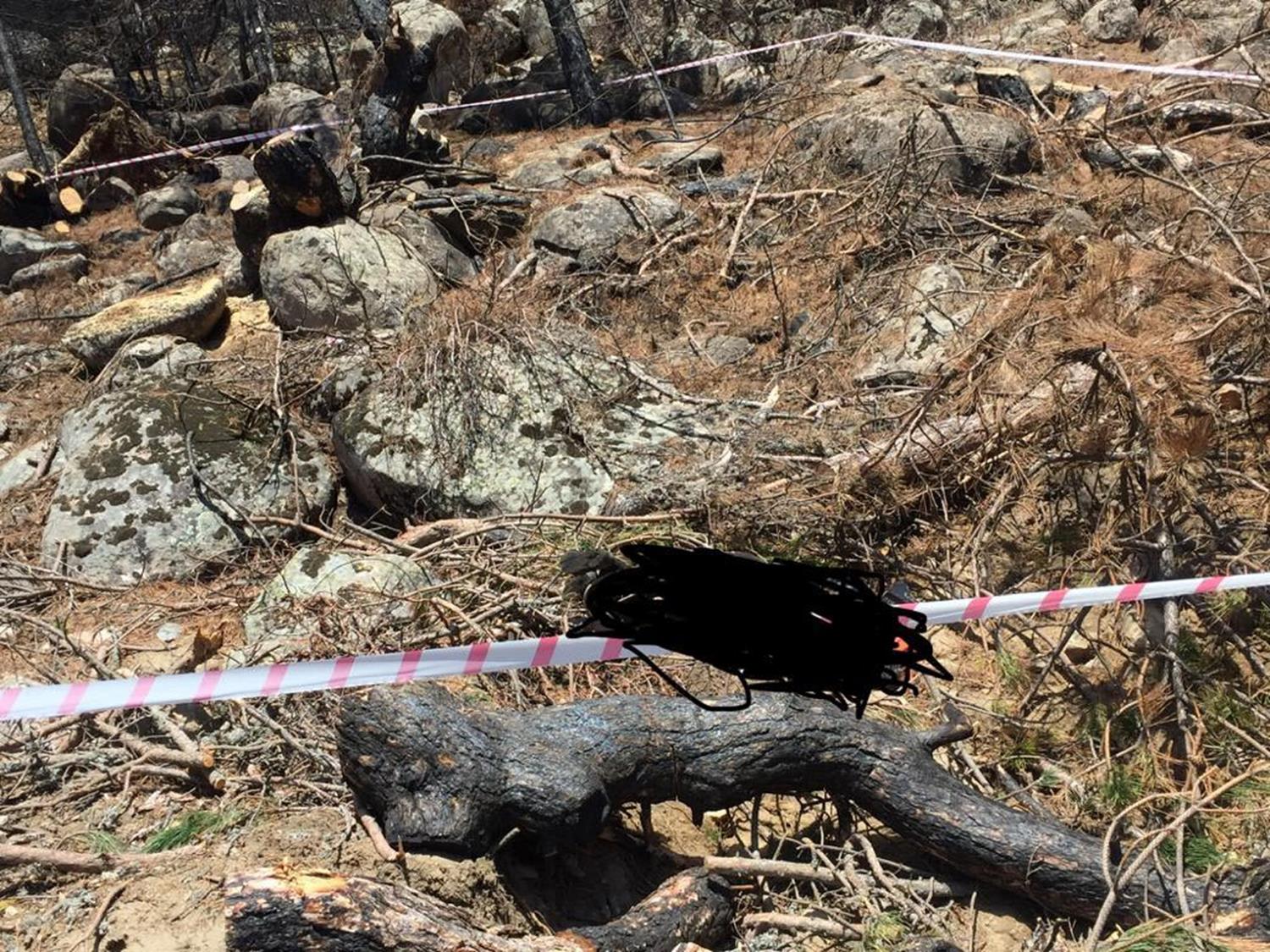 Kesti�i a�ac�n alt�nda kalan adam �ld�