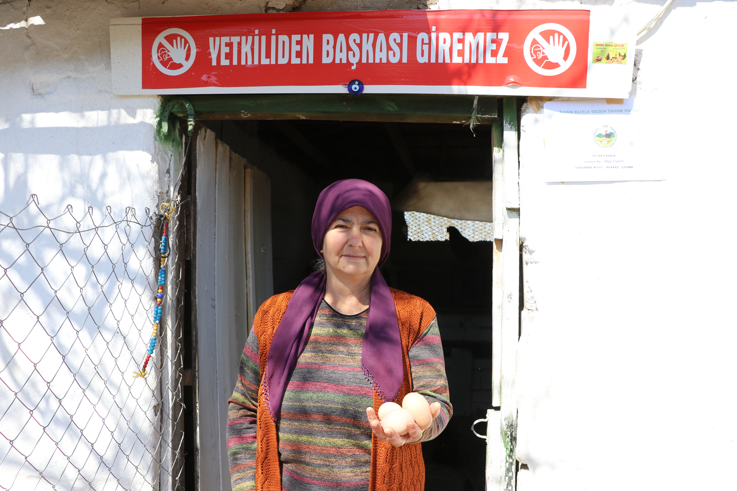Kad�n giri�imciler devlet deste�iyle organik yumurta �retiyor