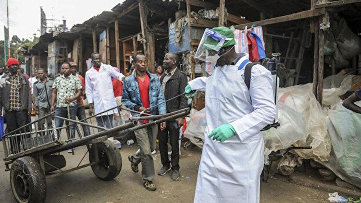 Nijerya'nn Adamawa eyaletinde kolera salgn 55 can ald
