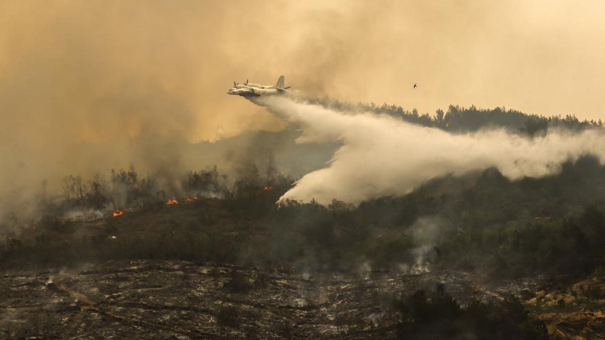 Hatay'da ormanl�k alanda ��kan yang�n kontrol alt�na al�nd�