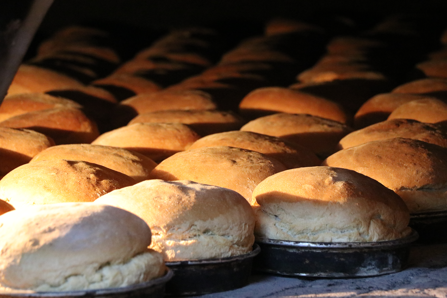 Ata yadigar� maya ile haz�rlan�yor! Bir ay bozulmadan kal�yor