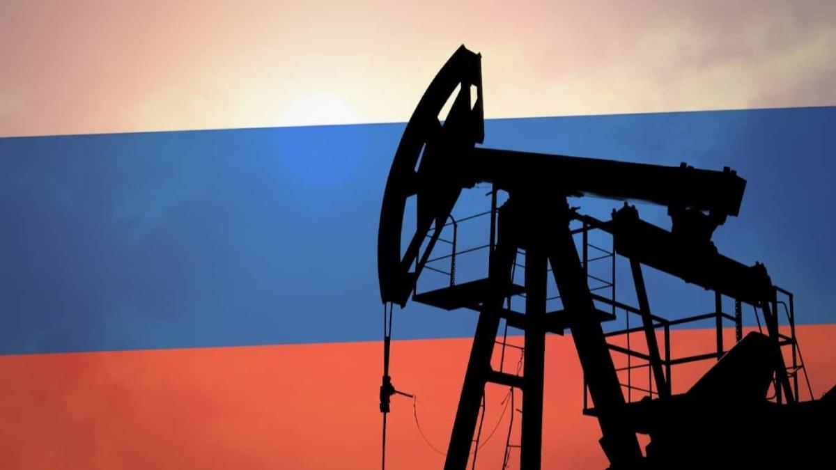 Fransa: Rus petrolne ambargo uygulansn 