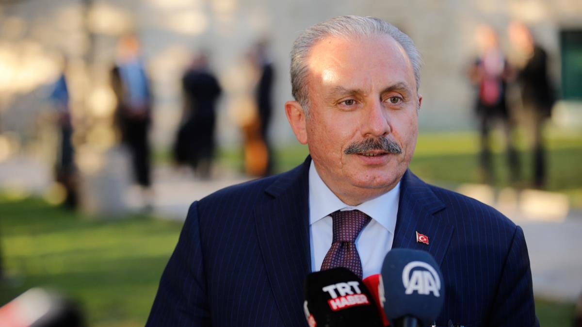 TBMM Mustafa entop: Cumhurbakan Erdoan'n Balkanlar iin byk gayretleri var