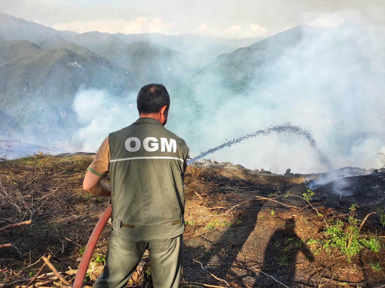 Hatay'da ormanl�k alanda ��kan yang�n s�nd�r�ld�