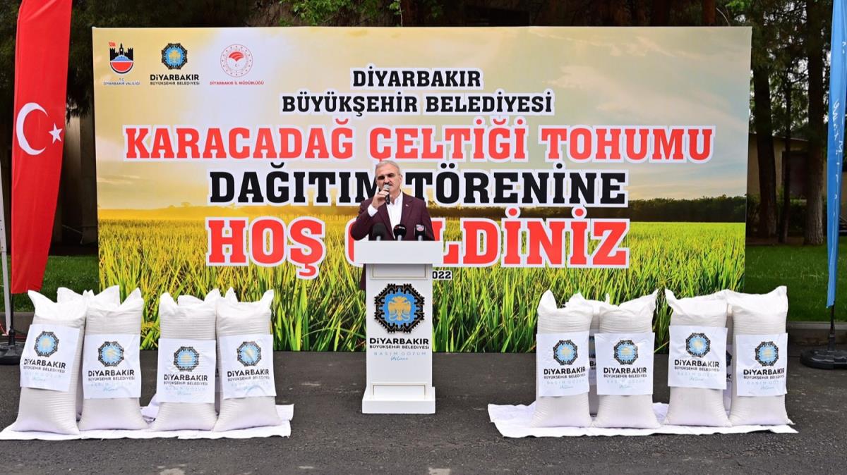 Diyarbakrl 75 iftiye 63 ton eltik tohumu datld 