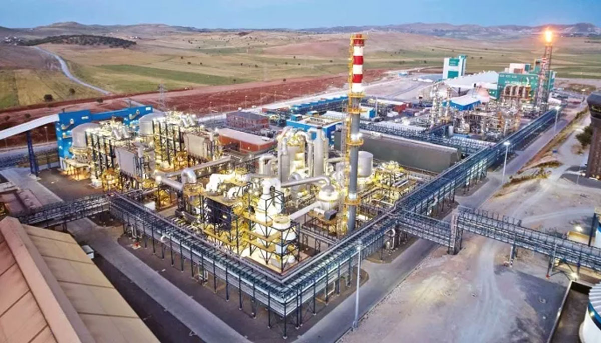 D�nyada ba�ka �rne�i yok! 10'dan fazla �lkeye ihra� ediliyor