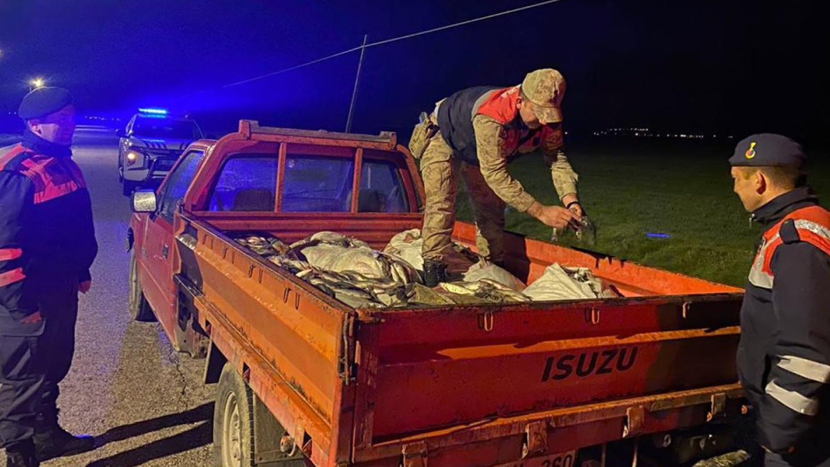 Van'da ka�ak avlanan 1 ton inci kefali ele ge�irildi