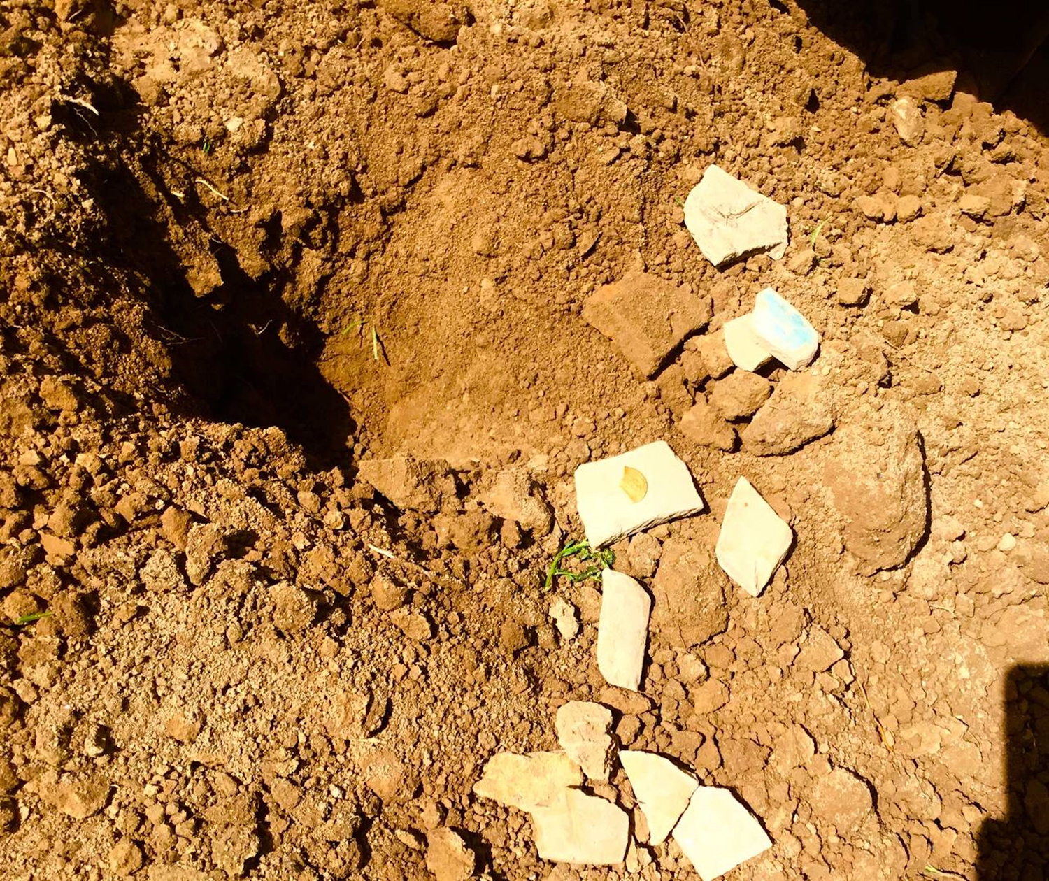 �zbekistan'da 10. y�zy�l Sel�uklu d�nemine ait ender g�r�len alt�n sikke bulundu