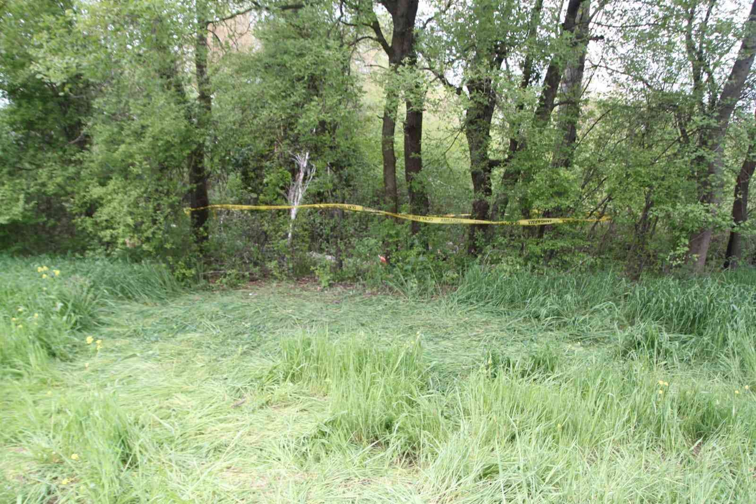 Kesti�i a�a� sonu oldu