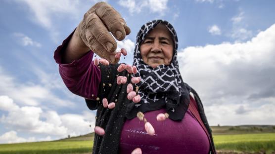 Evlatlarına gösterdikleri özenle büyüttükleri mahsul sayesinde çocuklarını okuttular