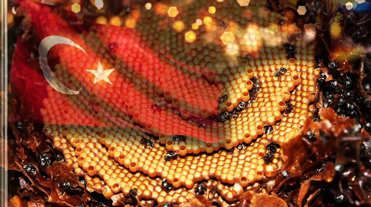 Stratejik proje imha edilmi�ti! T�rkiye yeniden harekete ge�ti