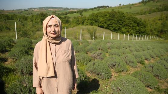Girişimci kadın devlet desteğiyle atıl araziyi lavanta bahçesine dönüştürdü
