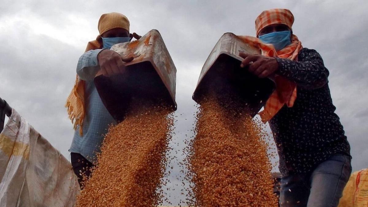 Hindistan buday ihracatn yasaklad