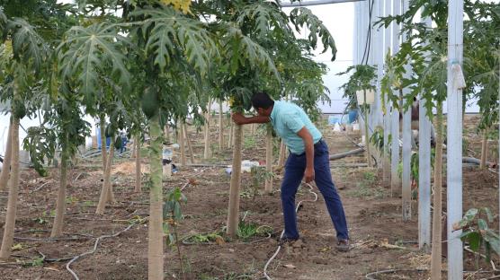 İşini bıraktı, devlet desteğiyle çiftçi oldu