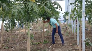 ini brakt, devlet desteiyle ifti oldu