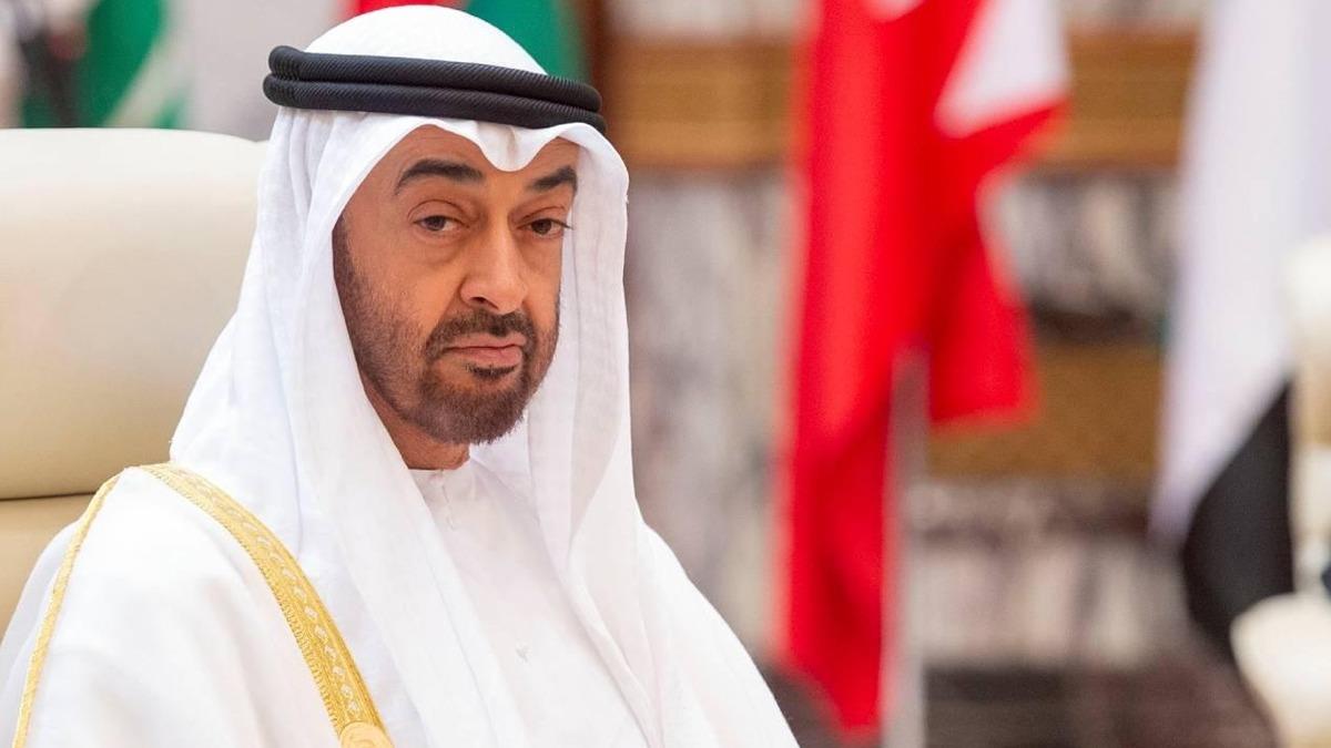 Arap liderlerden BAE'nin yeni Devlet Bakan Al Nahyan'a tebrik mesajlar
