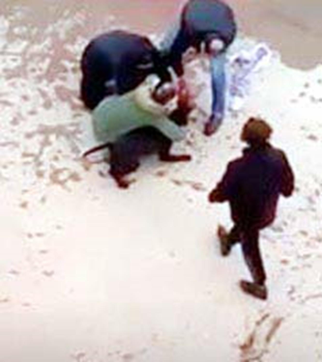 Pitbull sald�r�s� davas�nda 3 san�k tahliye edildi