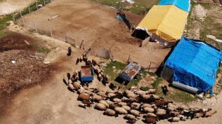 Devlet desteiyle sr sahibi oldu