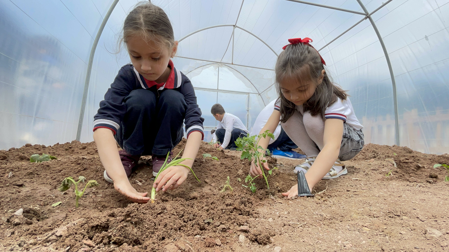Minikler do�a ve hayvan bilincini ya�ayarak ��reniyor