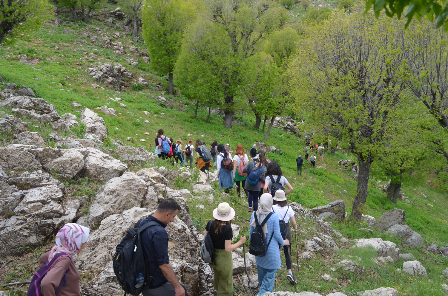 12 kilometreyi 'a�layan gelin'i g�rmek i�in t�rmand�lar