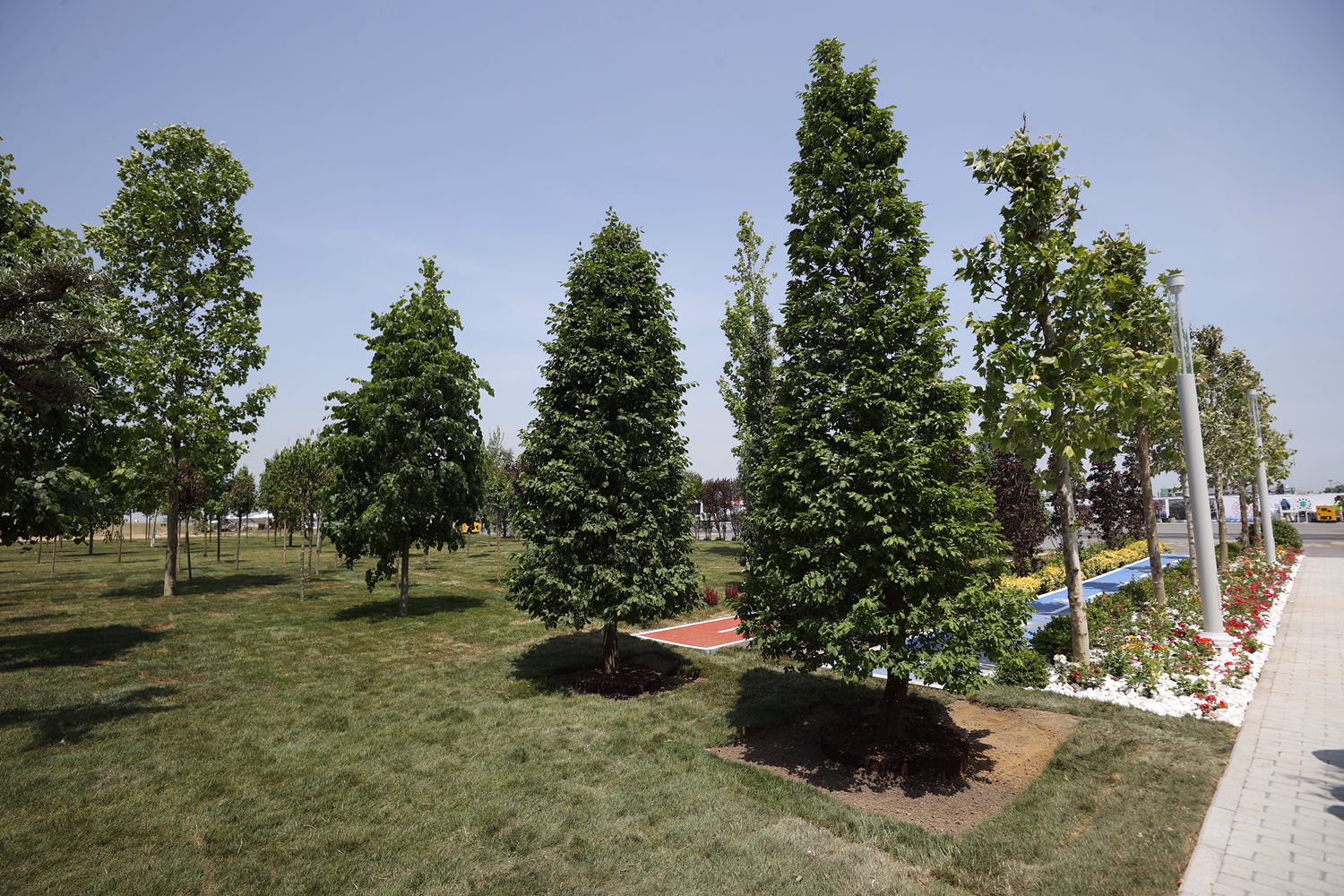 Atat�rk Havaliman� Millet Bah�esi'ne �stanbul'un fethini temsilen 145 bin 300 a�a� dikimi ger�ekle�tirilecek