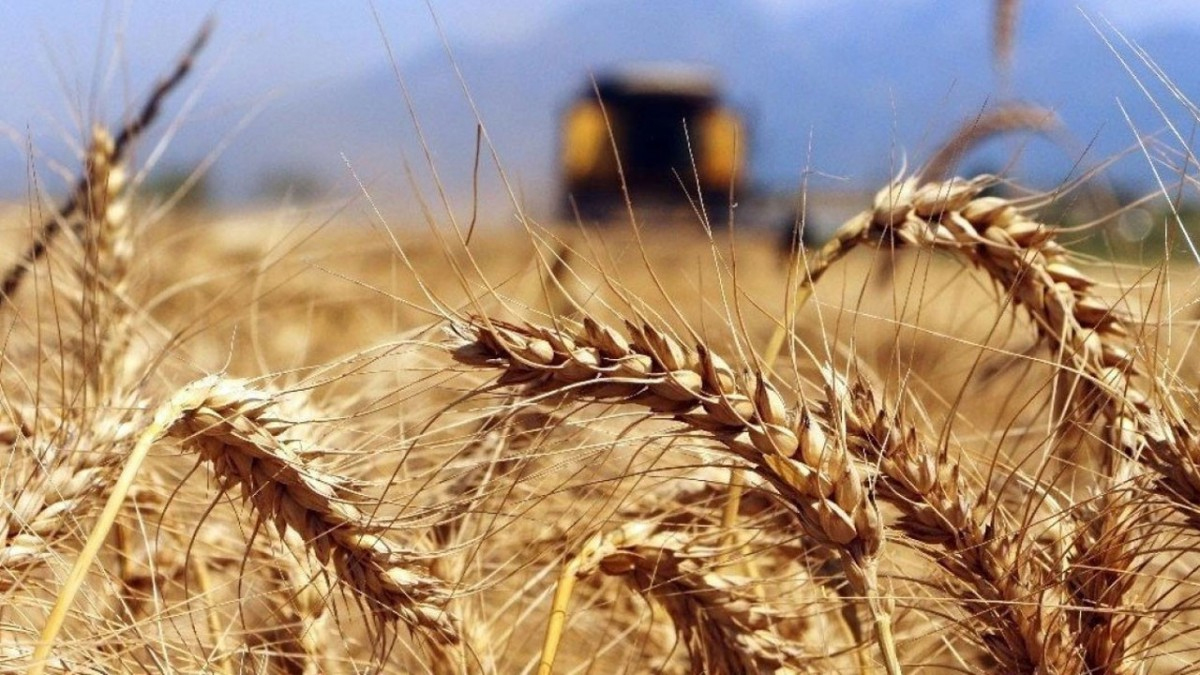 Bakanl�ktan sosyal medyadaki o iddialara yalanlama: Yurda giri�ine izin verilmedi