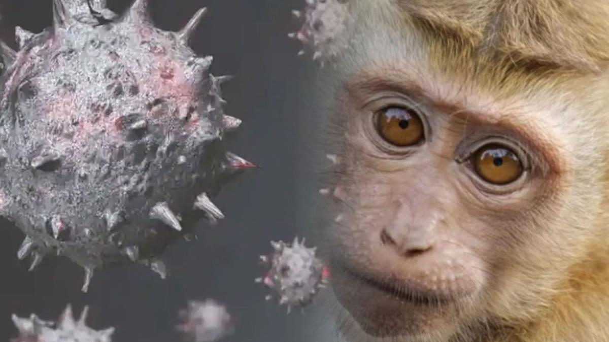 ''Maymun iei virs ile enfekte olanlar 21 gn boyunca evcil hayvanlar ile temas etmemeli''