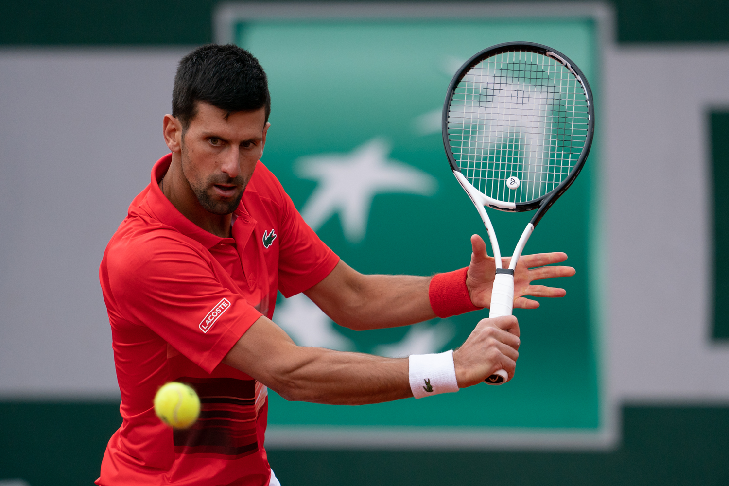 Novak Djokovic, Roland Garros'ta �eyrek finale kald�