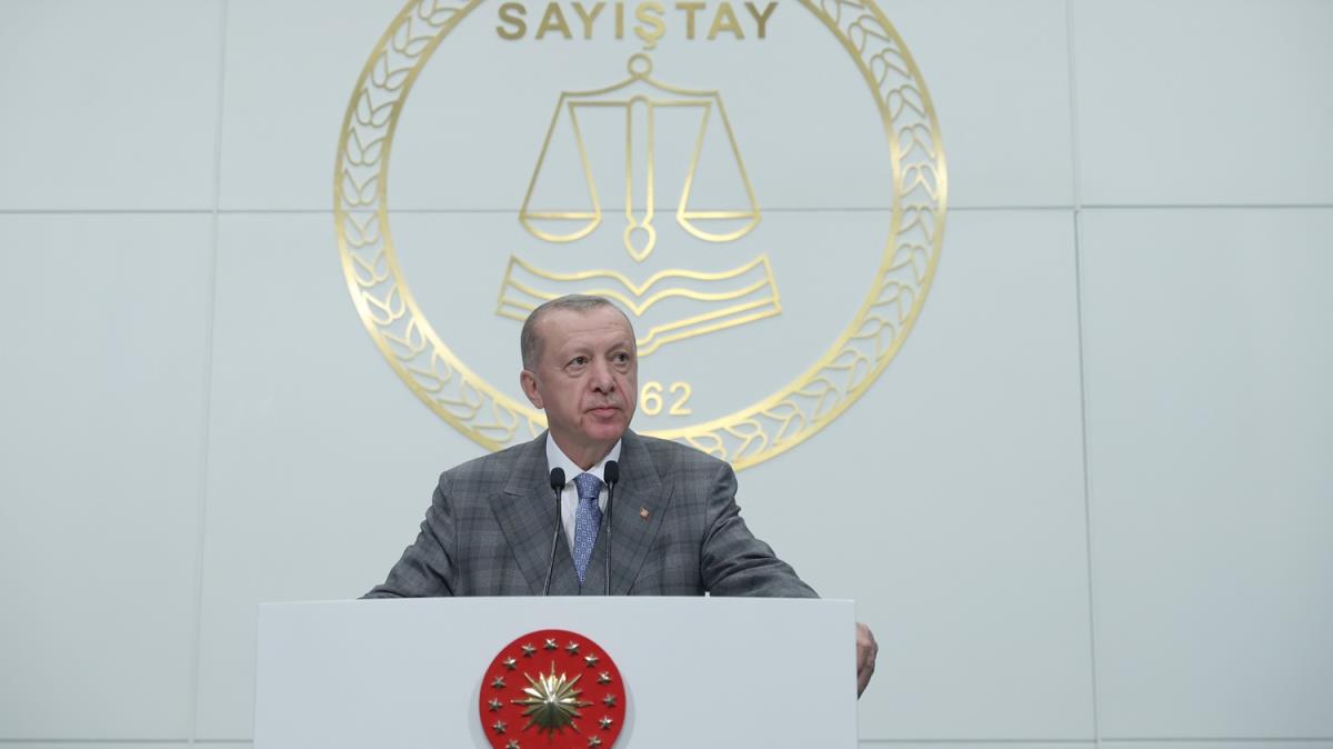 Cumhurbakan Erdoan: Saytay hibir kamu kurumunun rakibi deildir, yardmcsdr