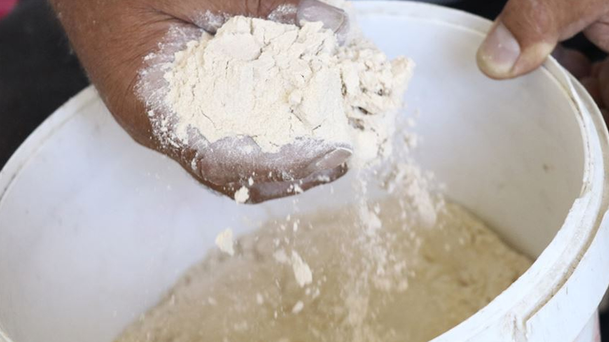 Bakanl�ktan ekmeklik bu�daya ili�kin a��klama