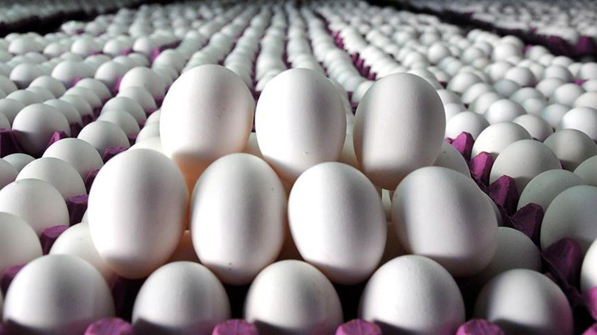 Rekabet Kurulu 17 yumurta reticisi hakknda soruturma balatt
