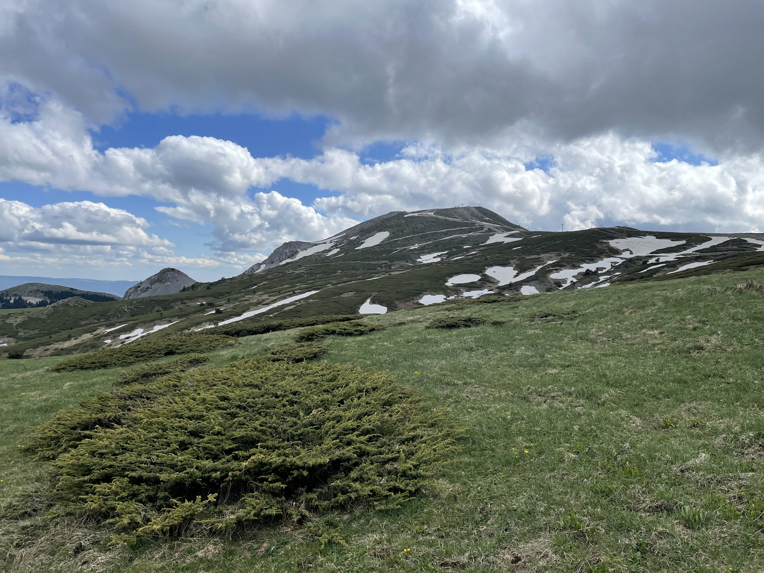 Ilgaz Da��'nda yaz sevinci