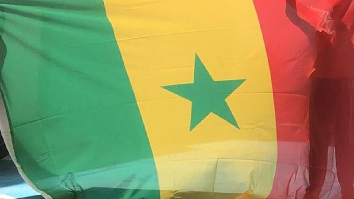 Senegal Dileri Bakan Sall, Ukraynal mevkida ile grt