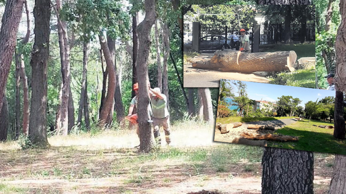 �BB'den a�a� katliam�: �nce ��ra�an �imdi de Emirgan