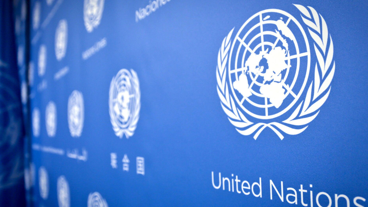 BM'den Libya'daki 'nefret s�ylemine' k�nama