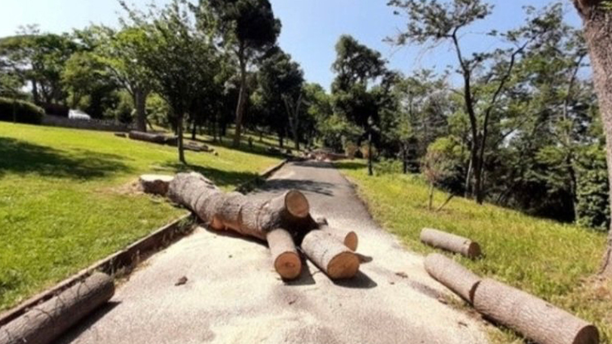 �BB'nin 'a�a� katliam�' cezas�z kalmad�