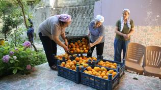 Kadnlar elleriyle retiyor, aile btelerine katk salyor