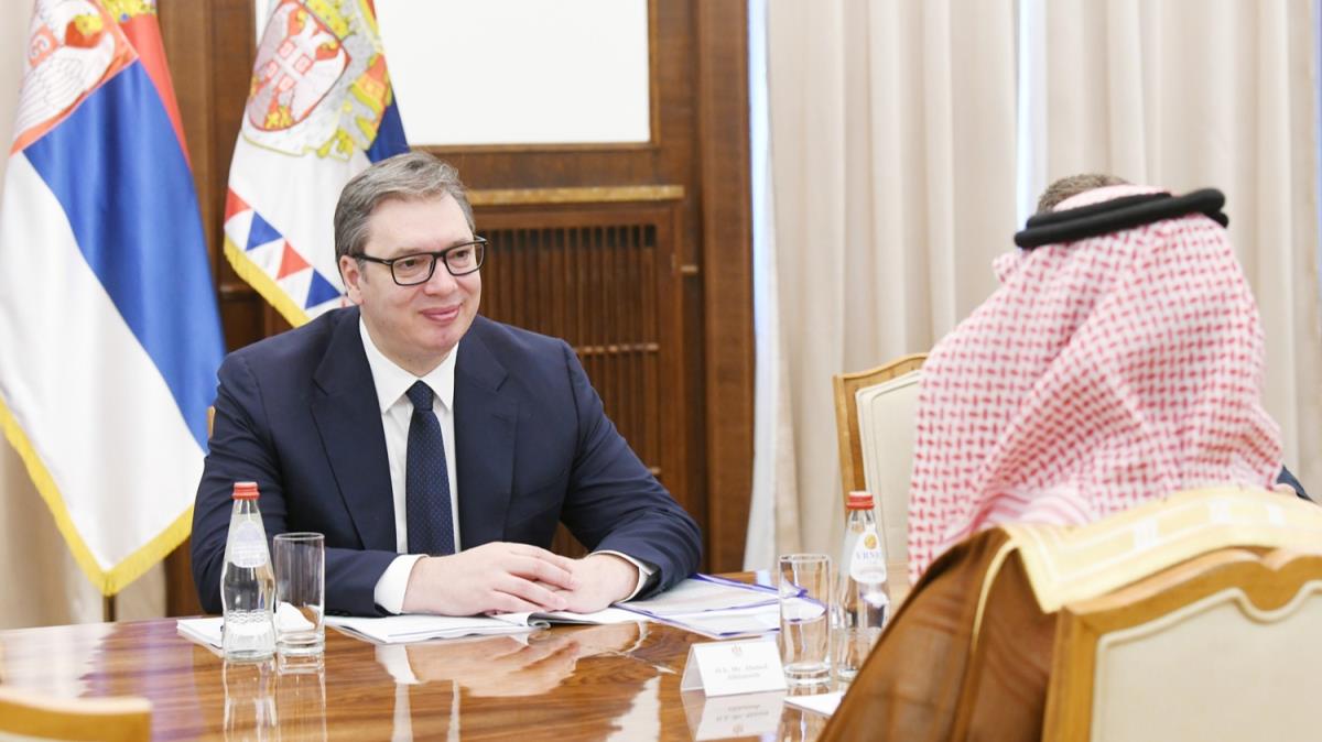 Srbistan Cumhurbakan, Suudilerle ortak projeler yaplmasn istiyor