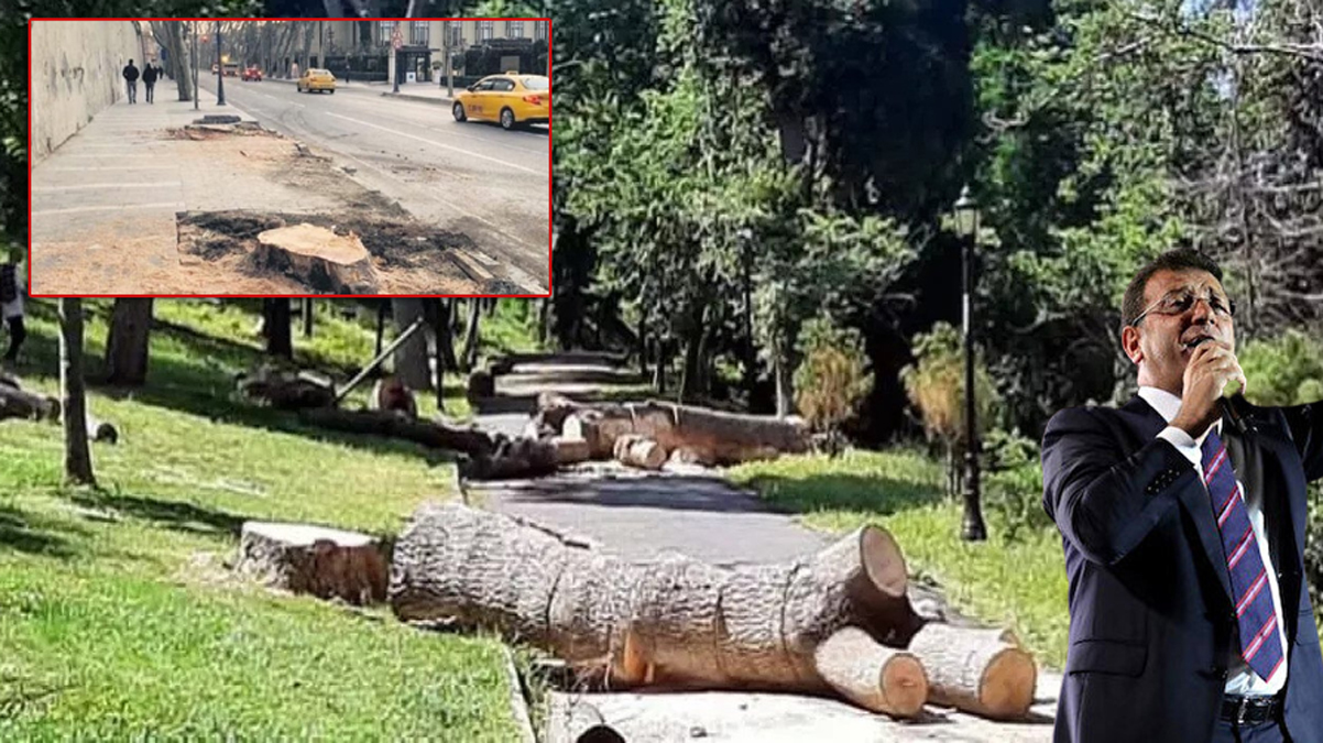 A�a�lar� katleden �BB Ba�kan� �mamo�lu �stanbul'u ye�ille bulu�turmu�!