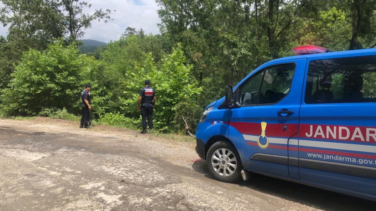 Kayp olarak aranyordu, cinayete kurban gittii ortaya kt