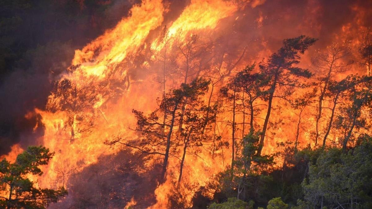 Marmaris'teki orman yangn: Alevlerin ilerlemesi byle engellenmi