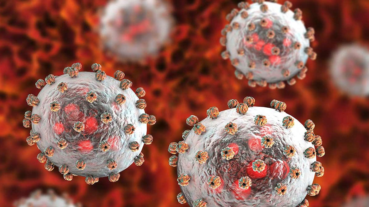 Nijerya Lassa salg�n� Ocak'tan bu yana 158 can ald�