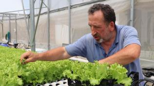 Mhendis kuzenler topraksz tarm yapyor